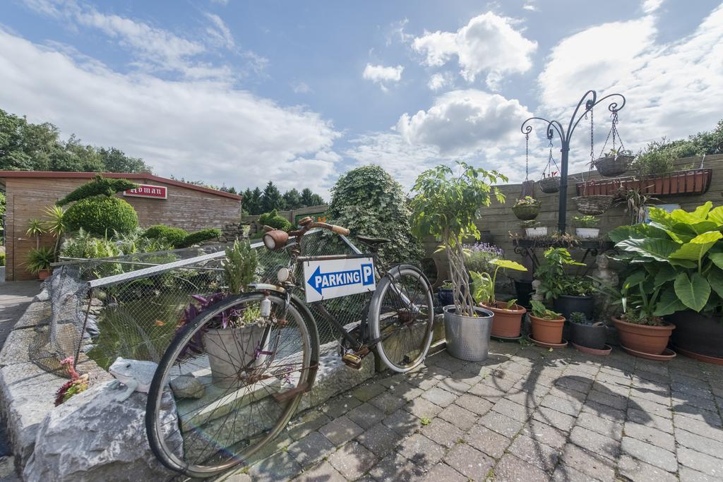 B&B Casa Roman & Vakantiewoning Voor 1 Pers Tot Max 32 Personen Zonhoven Kültér fotó